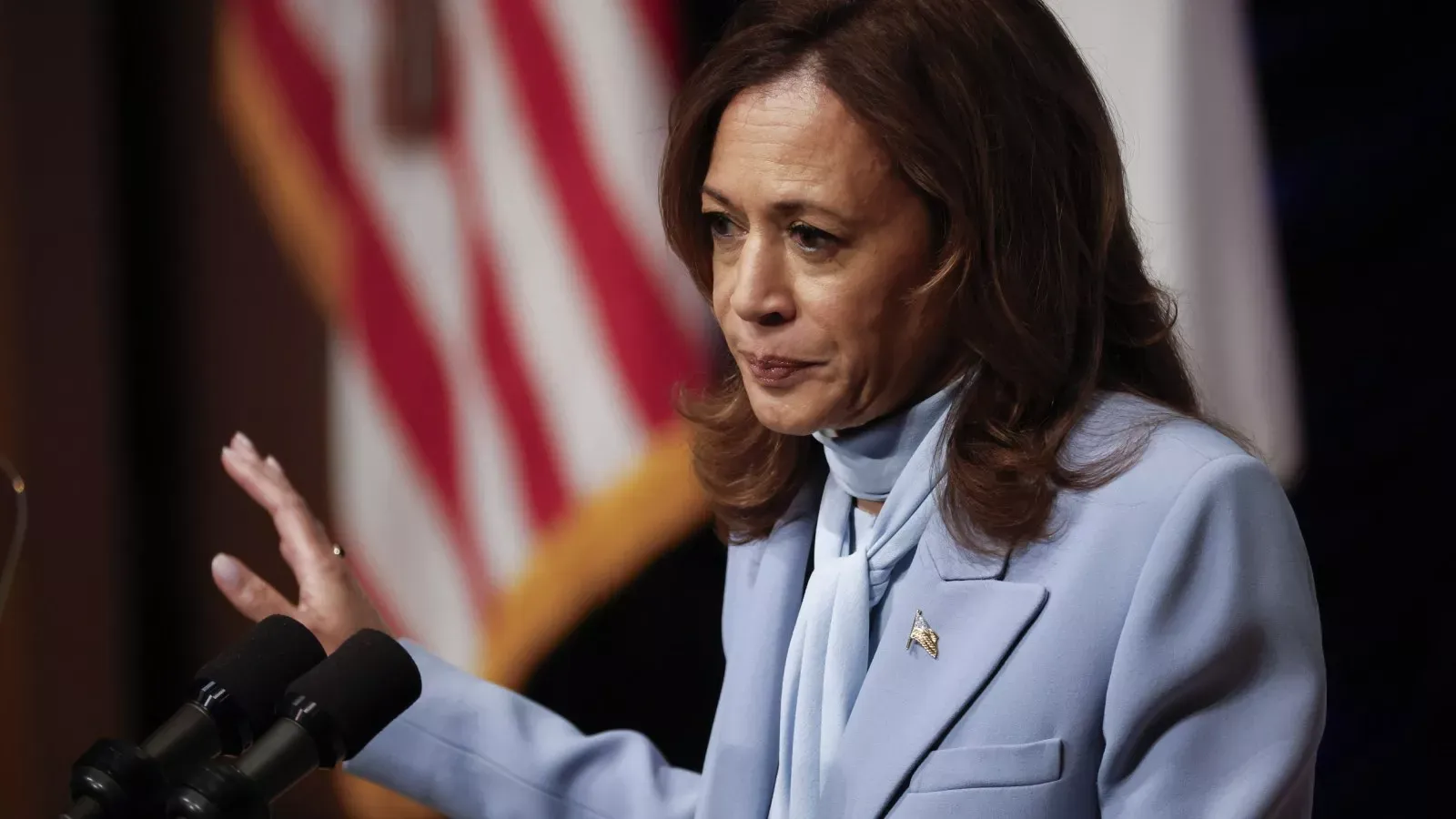 Montana voting system shut down after Kamala Harris left off ballot